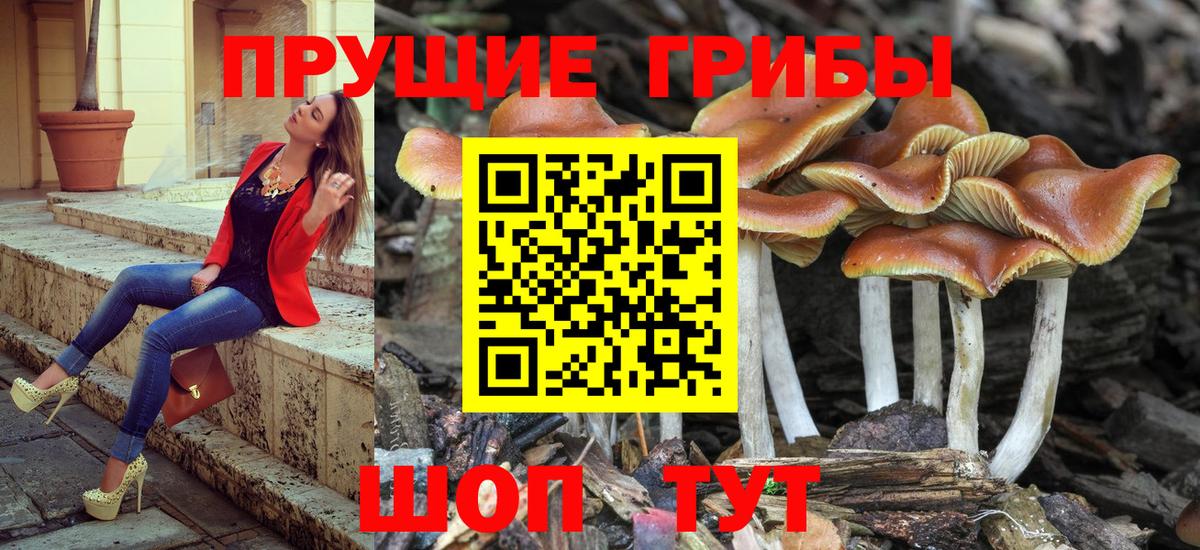 Галлюциногенные грибы мухоморы Острогожск