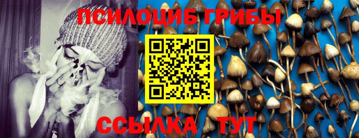 Острогожск  Галлюциногенные грибы Magic Shrooms  Вход с VPN  Галлюциногенные грибы мицелий 
